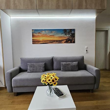 Apartmán Porodicno-Poslovni Udoban Stan Bělehrad Exteriér fotografie