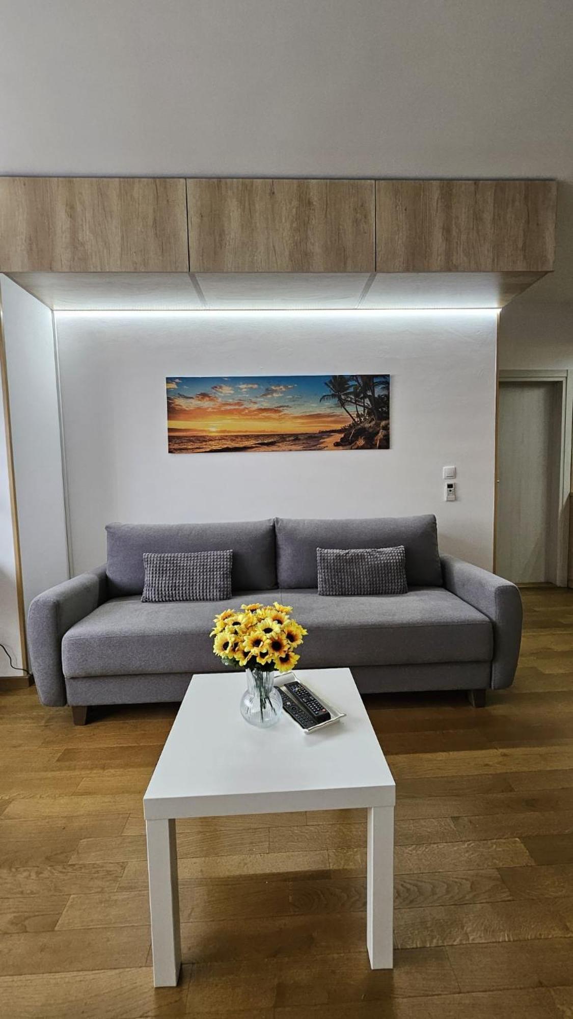 Apartmán Porodicno-Poslovni Udoban Stan Bělehrad Exteriér fotografie