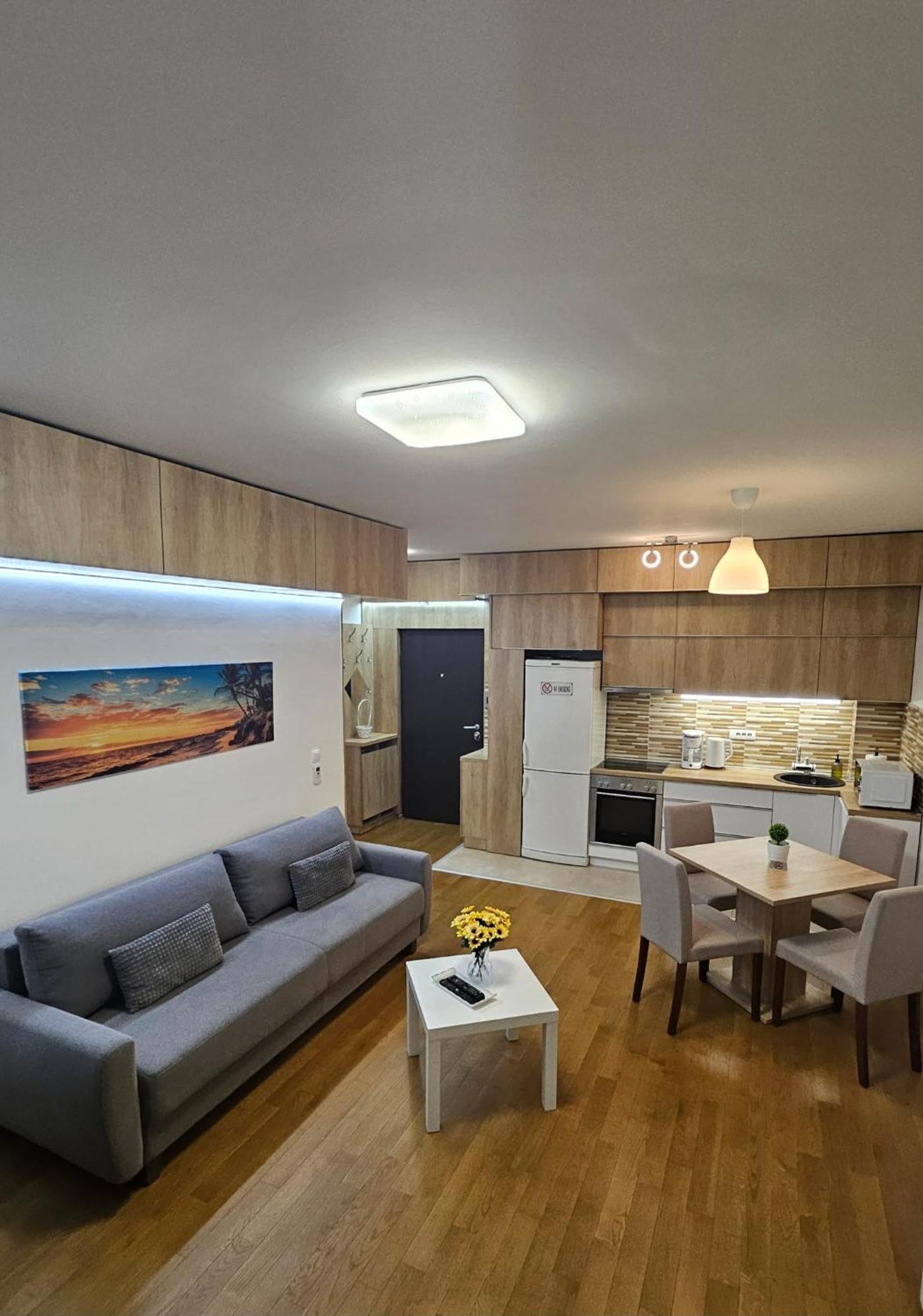 Apartmán Porodicno-Poslovni Udoban Stan Bělehrad Exteriér fotografie